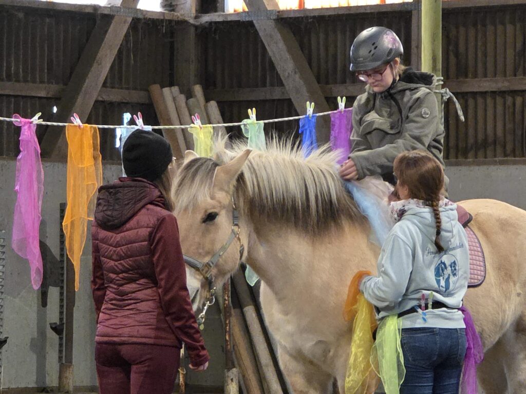 Reittherapie in Action!