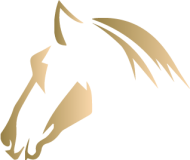 logo Heilpferde logo Heilpferde